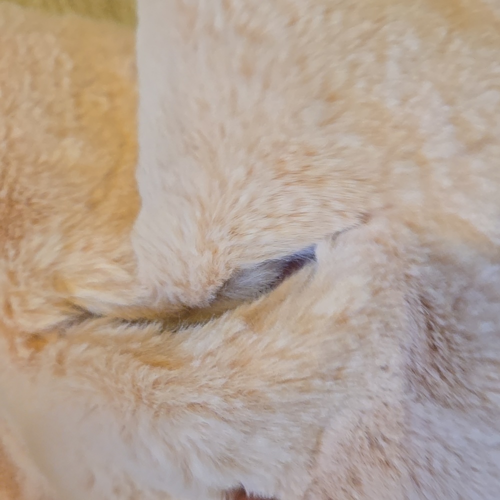 New Nicole's Boutique Blush Faux Fur Oblong Scarf - Picture 4 of 5